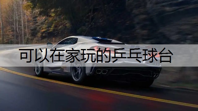 可以在家玩的乒乓球台