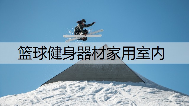 篮球健身器材家用室内