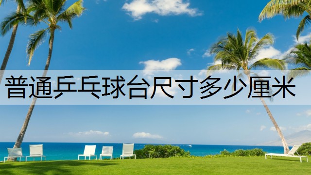 普通乒乓球台尺寸多少厘米