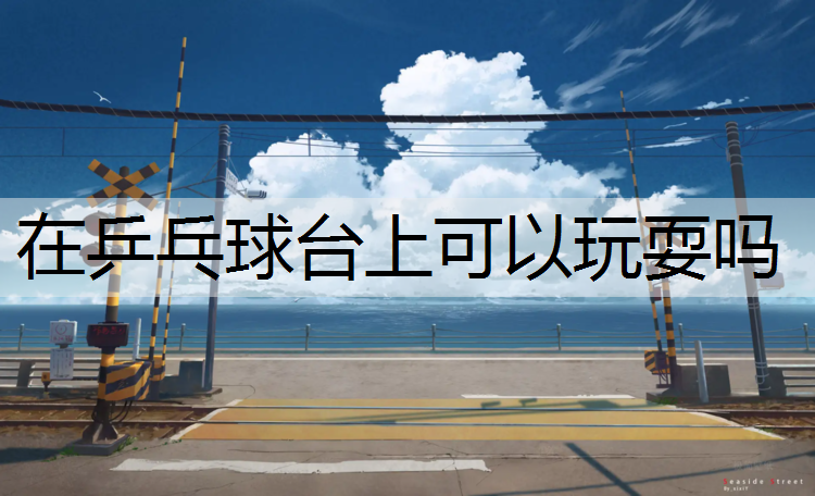 在乒乓球台上可以玩耍吗