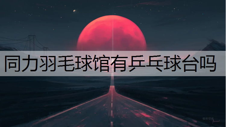 同力羽毛球馆有乒乓球台吗