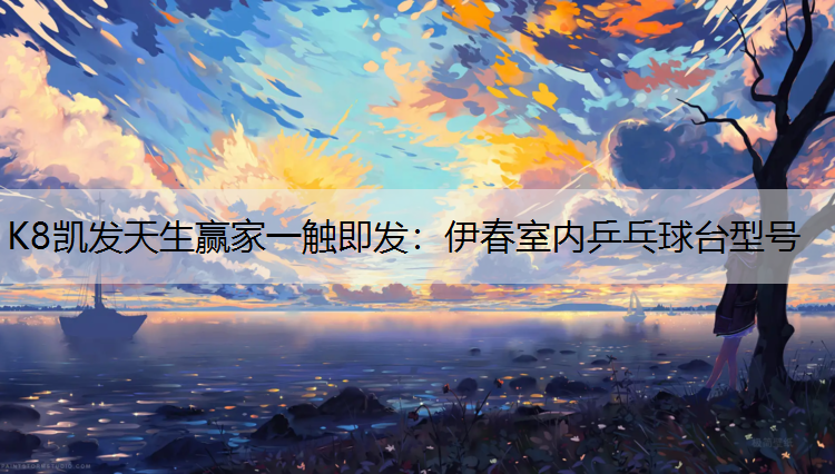 K8凯发天生赢家一触即发：伊春室内乒乓球台型号