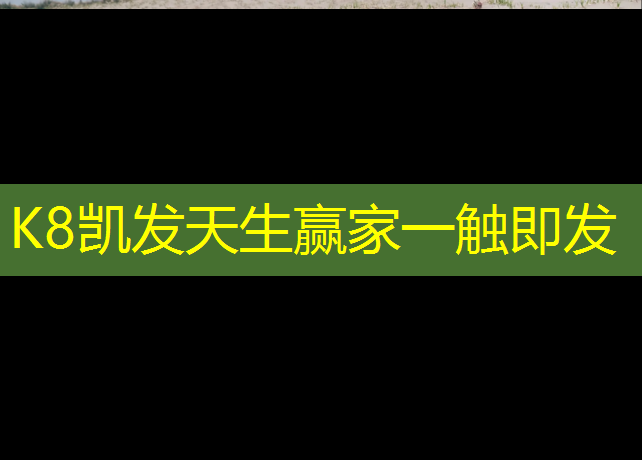 k8凯发官网入口：长兴新国标塑胶跑道施工