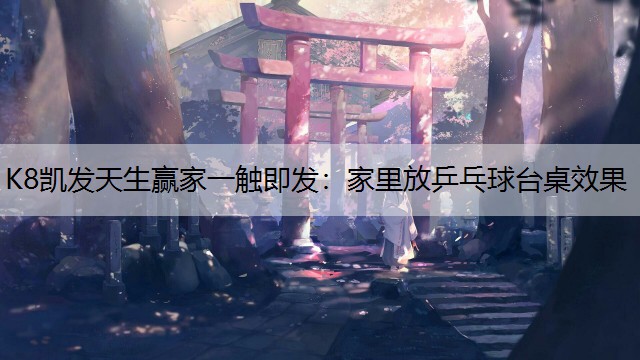 家里放乒乓球台桌效果