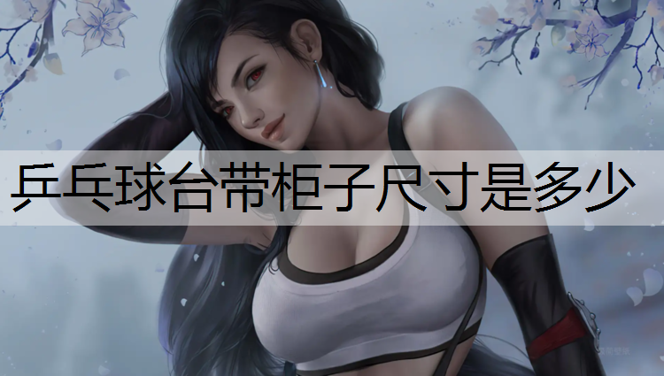 乒乓球台带柜子尺寸是多少
