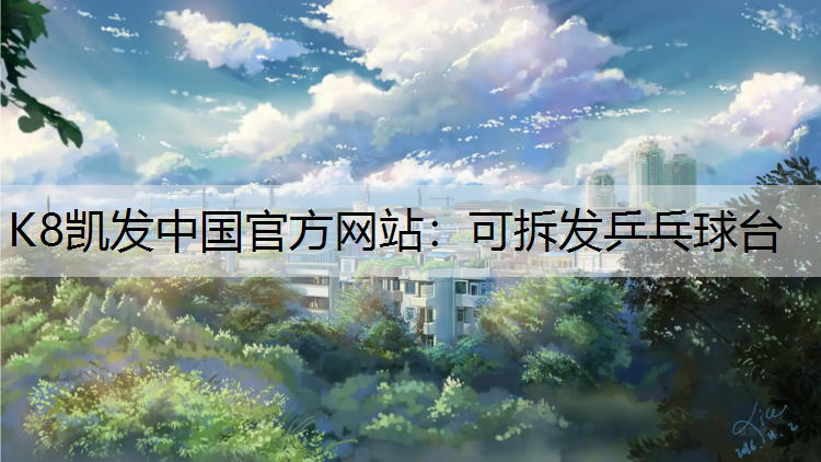 可拆发乒乓球台
