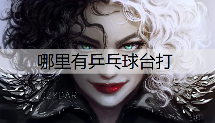 哪里有乒乓球台打 哪里有乒乓球台打