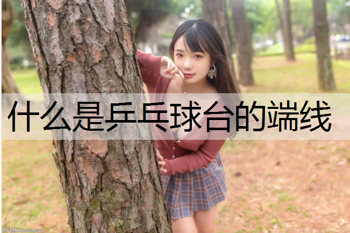 什么是乒乓球台的端线