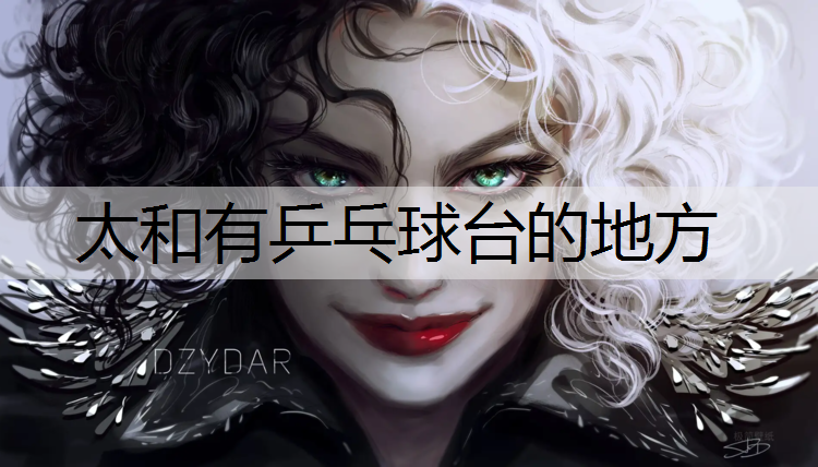 太和有乒乓球台的地方
