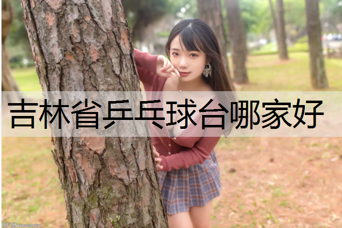 吉林省乒乓球台哪家好